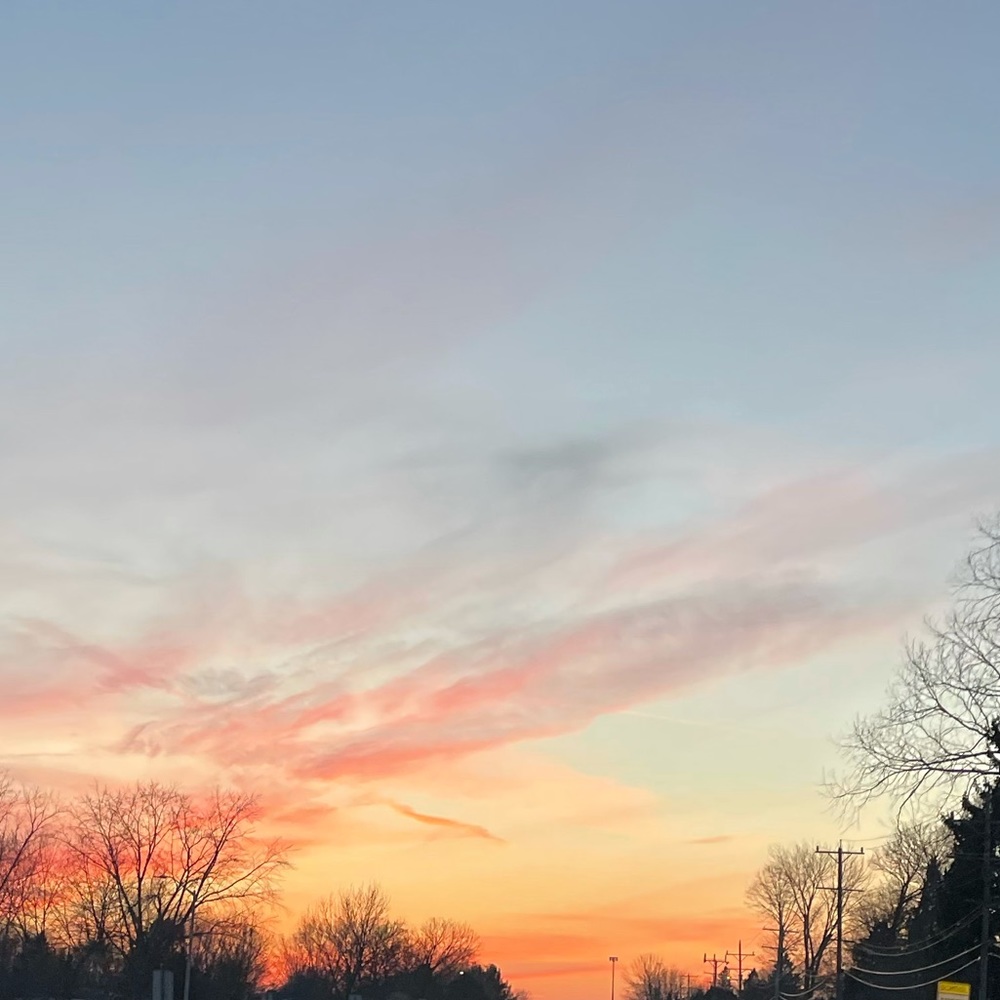 Meet your Posher, Maddie